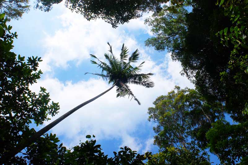 nui gunung raya langkawi